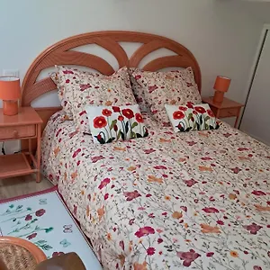 Les Coquelicots. , Mirepoix (Ariege) France
